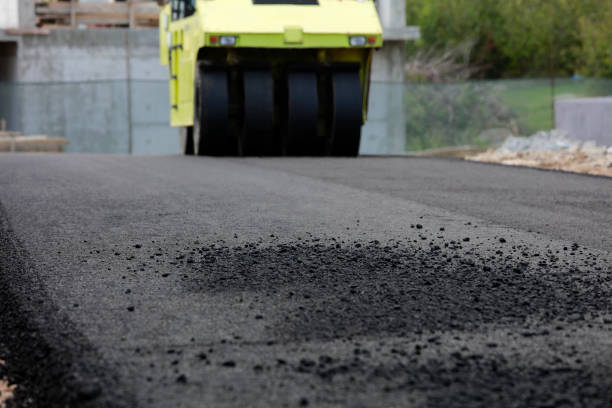 Best Professional Driveway Pavers  in Mulberry, AR