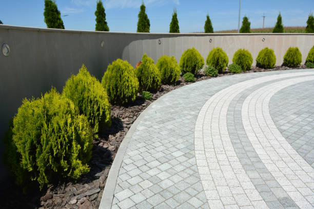 Best Local Driveway Pavers  in Mulberry, AR